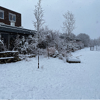 Foto bij artikel Een witte start van 2026